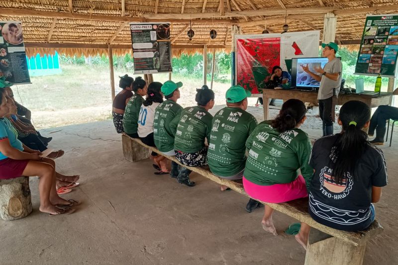 Matéria - Formação de agentes agroflorestais avança na Terra Indígena Alto Rio Guamá com foco em sustentabilidade

Fotos: DGBio/IDEFLOR-Bio/Divulgação


 <div class='credito_fotos'>Foto: ASCOM / IDEFLOR-BIO &nbsp;&nbsp;|&nbsp;&nbsp; <a href='/midias/2024/originais/20801_9c68566f-6edf-0928-748e-c9116abd3206.jpg' download><i class='fa-solid fa-download'></i> Download</a></div>