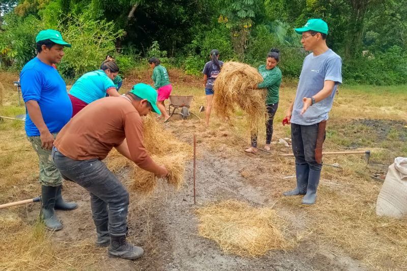 Matéria - Formação de agentes agroflorestais avança na Terra Indígena Alto Rio Guamá com foco em sustentabilidade

Fotos: DGBio/IDEFLOR-Bio/Divulgação


 <div class='credito_fotos'>Foto: ASCOM / IDEFLOR-BIO &nbsp;&nbsp;|&nbsp;&nbsp; <a href='/midias/2024/originais/20801_b48b84b9-147e-0370-e03b-e0994ceaecd9.jpg' download><i class='fa-solid fa-download'></i> Download</a></div>