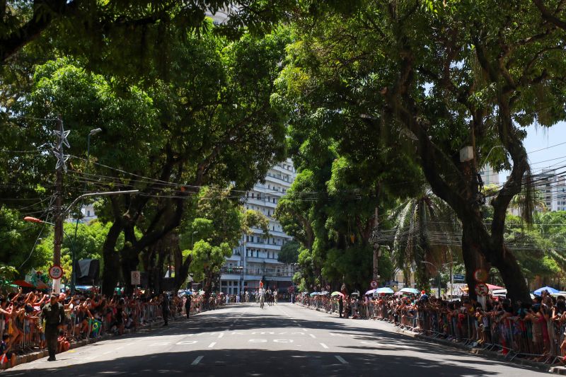  <div class='credito_fotos'>Foto: Bruno Cruz / Ag. Pará &nbsp;&nbsp;|&nbsp;&nbsp; <a href='/midias/2024/originais/20828_488cf819-b20b-2d6f-0d91-ab42cedcd001.jpg' download><i class='fa-solid fa-download'></i> Download</a></div>