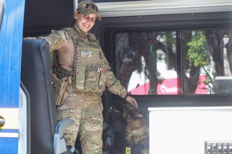  <div class='credito_fotos'>Foto: Bruno Cruz / Ag. Pará &nbsp;&nbsp;|&nbsp;&nbsp; <a href='/midias/2024/originais/20828_53a4a355-e935-a02e-846d-026ab4268732.jpg' download><i class='fa-solid fa-download'></i> Download</a></div>