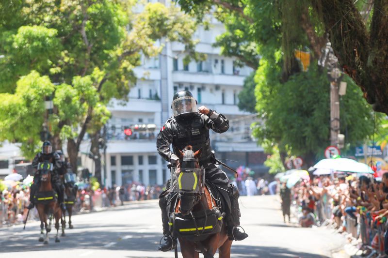  <div class='credito_fotos'>Foto: Bruno Cruz / Ag. Pará &nbsp;&nbsp;|&nbsp;&nbsp; <a href='/midias/2024/originais/20828_5c85f519-72a4-1503-939f-2631d69e0025.jpg' download><i class='fa-solid fa-download'></i> Download</a></div>