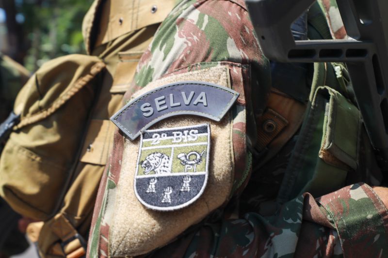  <div class='credito_fotos'>Foto: Bruno Cruz / Ag. Pará &nbsp;&nbsp;|&nbsp;&nbsp; <a href='/midias/2024/originais/20828_7427175e-c591-010d-1709-ab20921c5579.jpg' download><i class='fa-solid fa-download'></i> Download</a></div>