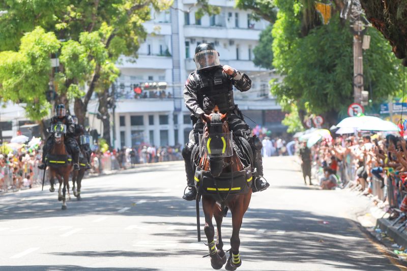  <div class='credito_fotos'>Foto: Bruno Cruz / Ag. Pará &nbsp;&nbsp;|&nbsp;&nbsp; <a href='/midias/2024/originais/20828_7eddcf26-5798-7655-82e6-d6b3dc89645f.jpg' download><i class='fa-solid fa-download'></i> Download</a></div>