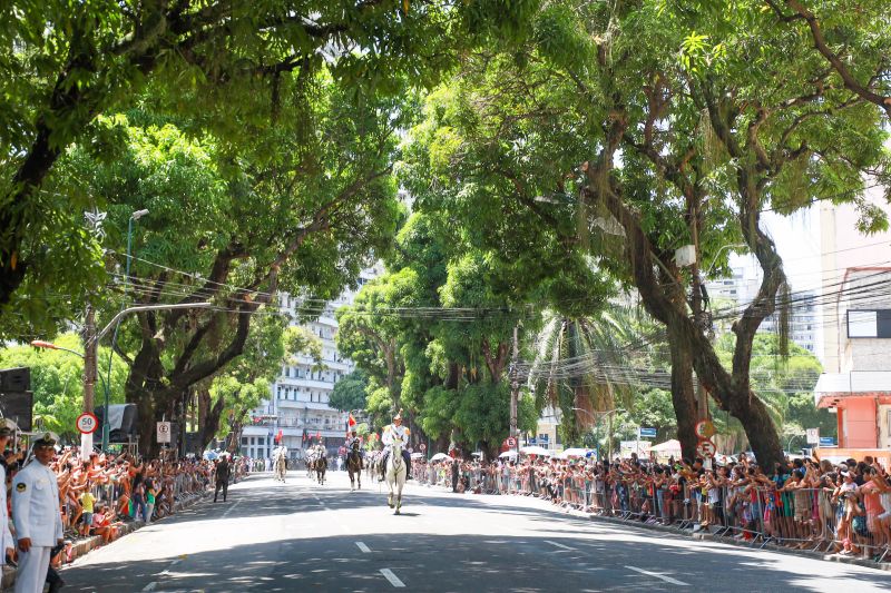  <div class='credito_fotos'>Foto: Bruno Cruz / Ag. Pará &nbsp;&nbsp;|&nbsp;&nbsp; <a href='/midias/2024/originais/20828_8b143f47-d1b2-deac-98be-cb8398d9169a.jpg' download><i class='fa-solid fa-download'></i> Download</a></div>