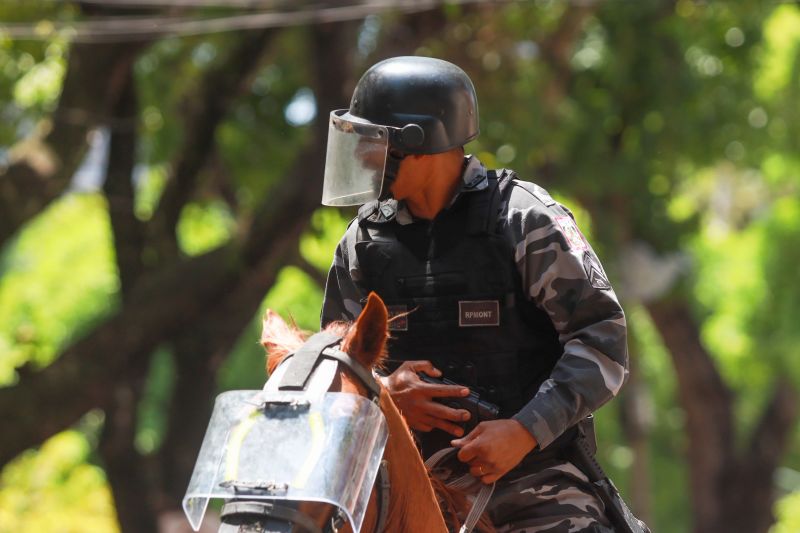  <div class='credito_fotos'>Foto: Bruno Cruz / Ag. Pará &nbsp;&nbsp;|&nbsp;&nbsp; <a href='/midias/2024/originais/20828_cf4c2488-1443-2fb4-1fda-2d215f86a5d6.jpg' download><i class='fa-solid fa-download'></i> Download</a></div>