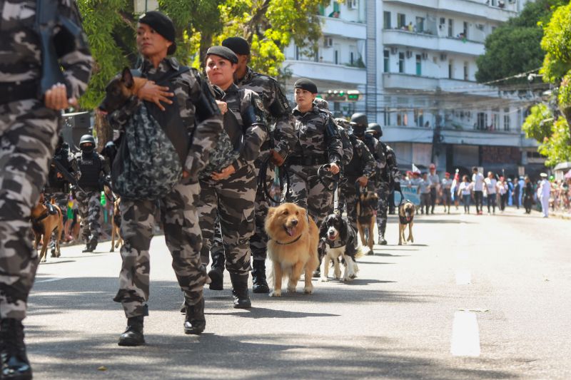  <div class='credito_fotos'>Foto: Bruno Cruz / Ag. Pará &nbsp;&nbsp;|&nbsp;&nbsp; <a href='/midias/2024/originais/20828_d7da4ea4-ef87-54d0-d391-8f286028aad6.jpg' download><i class='fa-solid fa-download'></i> Download</a></div>