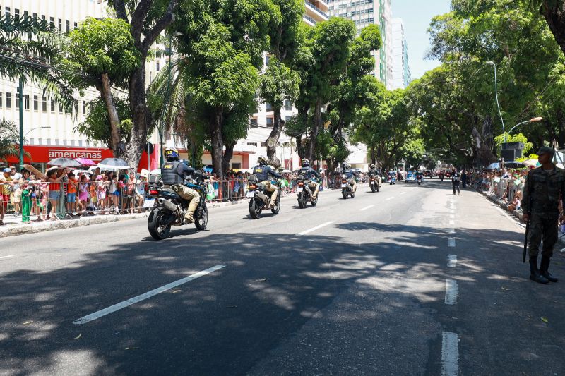  <div class='credito_fotos'>Foto: Bruno Cruz / Ag. Pará &nbsp;&nbsp;|&nbsp;&nbsp; <a href='/midias/2024/originais/20828_e7880a55-195c-5b61-b1e7-980220aad14b.jpg' download><i class='fa-solid fa-download'></i> Download</a></div>