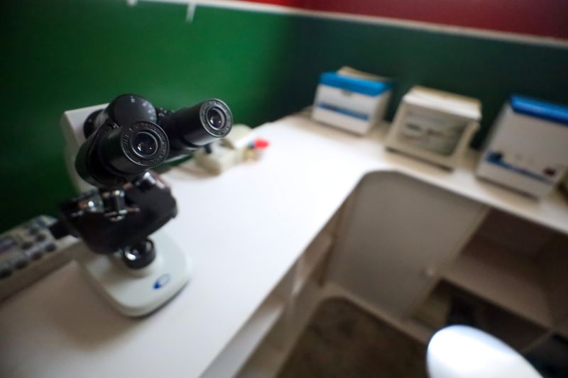  <div class='credito_fotos'>Foto: Marcelo Lelis / Ag. Pará &nbsp;&nbsp;|&nbsp;&nbsp; <a href='/midias/2024/originais/20832_bb951410-f90d-8ec4-d248-89e4c0ef09b6.jpg' download><i class='fa-solid fa-download'></i> Download</a></div>