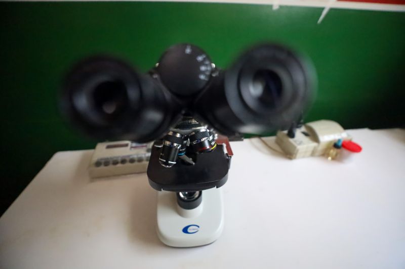  <div class='credito_fotos'>Foto: Marcelo Lelis / Ag. Pará &nbsp;&nbsp;|&nbsp;&nbsp; <a href='/midias/2024/originais/20832_c4a0c325-6d89-6cc9-b73c-6745a8839480.jpg' download><i class='fa-solid fa-download'></i> Download</a></div>