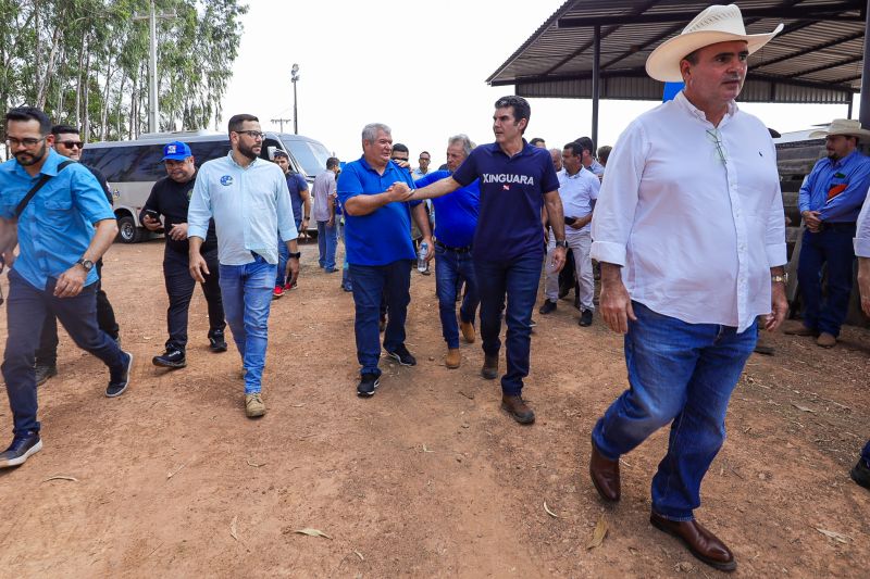  <div class='credito_fotos'>Foto: Bruno Cruz / Ag. Pará &nbsp;&nbsp;|&nbsp;&nbsp; <a href='/midias/2024/originais/20849_025fa6cd-84d8-8de9-344f-12ee948a7e5e.jpg' download><i class='fa-solid fa-download'></i> Download</a></div>