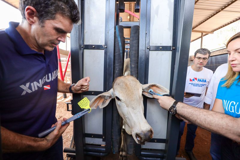  <div class='credito_fotos'>Foto: Bruno Cruz / Ag. Pará &nbsp;&nbsp;|&nbsp;&nbsp; <a href='/midias/2024/originais/20849_04da1742-9f12-56ee-05aa-b71f5937499f.jpg' download><i class='fa-solid fa-download'></i> Download</a></div>