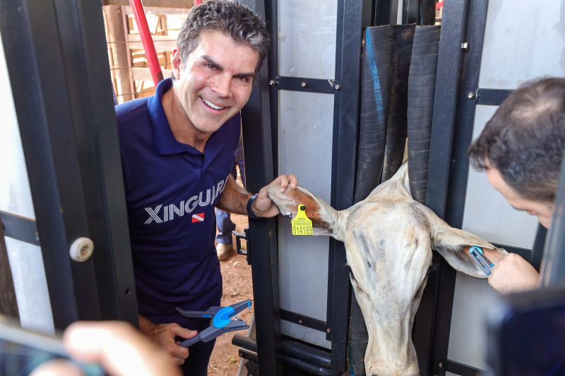  <div class='credito_fotos'>Foto: Bruno Cruz / Ag. Pará &nbsp;&nbsp;|&nbsp;&nbsp; <a href='/midias/2024/originais/20849_1926f8be-c671-4aba-56ae-52be9df0f7a4.jpg' download><i class='fa-solid fa-download'></i> Download</a></div>