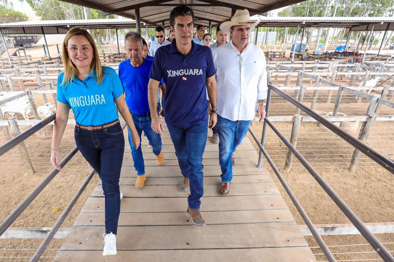  <div class='credito_fotos'>Foto: Bruno Cruz / Ag. Pará &nbsp;&nbsp;|&nbsp;&nbsp; <a href='/midias/2024/originais/20849_3ae62277-5bee-29aa-ceae-eeb26e31ee13.jpg' download><i class='fa-solid fa-download'></i> Download</a></div>