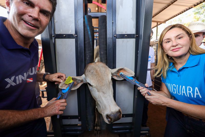  <div class='credito_fotos'>Foto: Bruno Cruz / Ag. Pará &nbsp;&nbsp;|&nbsp;&nbsp; <a href='/midias/2024/originais/20849_5322fc88-8c9e-d09a-d8c3-edd271b9f0ec.jpg' download><i class='fa-solid fa-download'></i> Download</a></div>