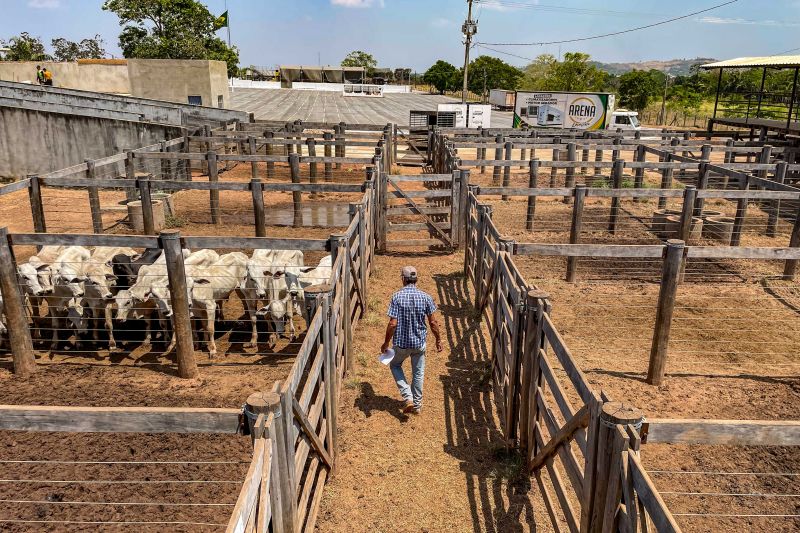  <div class='credito_fotos'>Foto: Bruno Cruz / Ag. Pará &nbsp;&nbsp;|&nbsp;&nbsp; <a href='/midias/2024/originais/20849_6cdeba99-1b10-0b5d-269c-b71e2c099c06.jpg' download><i class='fa-solid fa-download'></i> Download</a></div>