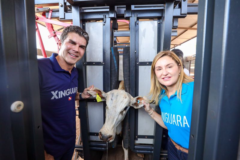  <div class='credito_fotos'>Foto: Bruno Cruz / Ag. Pará &nbsp;&nbsp;|&nbsp;&nbsp; <a href='/midias/2024/originais/20849_8054b639-c334-442e-5668-1ba1dc6fdd1c.jpg' download><i class='fa-solid fa-download'></i> Download</a></div>