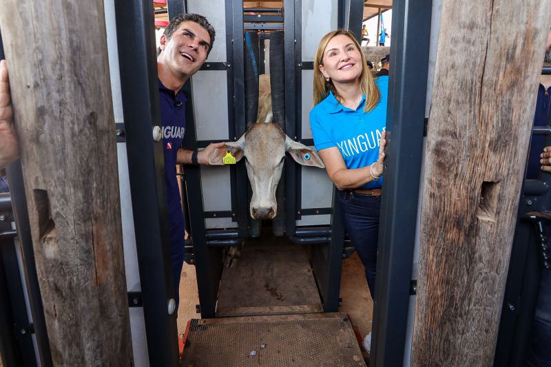  <div class='credito_fotos'>Foto: Bruno Cruz / Ag. Pará &nbsp;&nbsp;|&nbsp;&nbsp; <a href='/midias/2024/originais/20849_850756c0-820e-8090-5c12-3b6397d74e04.jpg' download><i class='fa-solid fa-download'></i> Download</a></div>