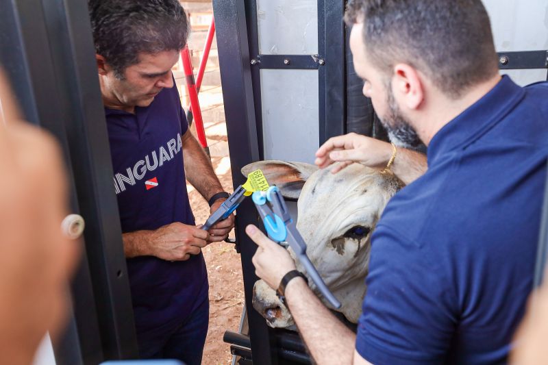  <div class='credito_fotos'>Foto: Bruno Cruz / Ag. Pará &nbsp;&nbsp;|&nbsp;&nbsp; <a href='/midias/2024/originais/20849_8783b325-0863-5e3e-1140-bbe0ad755308.jpg' download><i class='fa-solid fa-download'></i> Download</a></div>