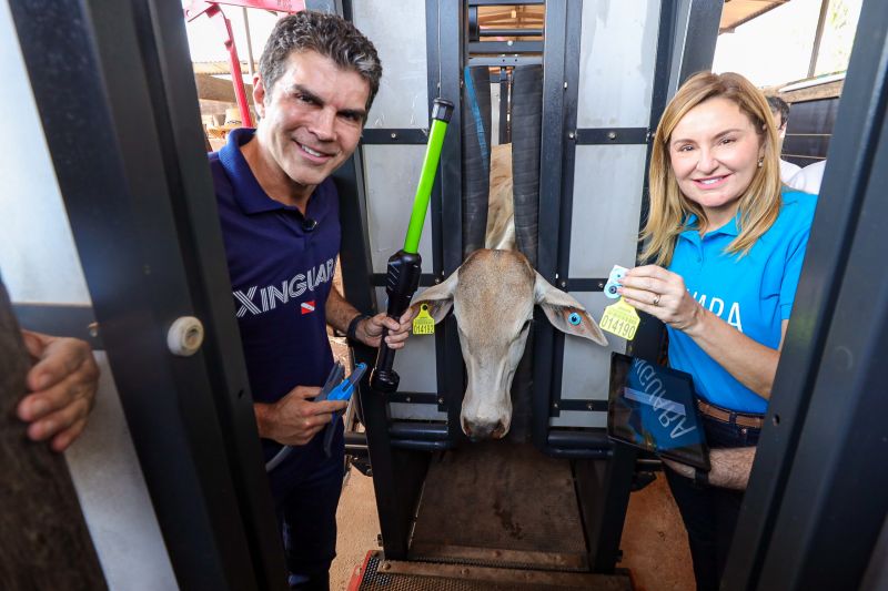  <div class='credito_fotos'>Foto: Bruno Cruz / Ag. Pará &nbsp;&nbsp;|&nbsp;&nbsp; <a href='/midias/2024/originais/20849_92c23786-7cc6-911c-0ada-a4054e5a3611.jpg' download><i class='fa-solid fa-download'></i> Download</a></div>