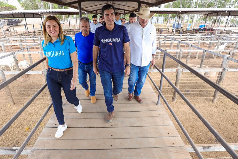  <div class='credito_fotos'>Foto: Bruno Cruz / Ag. Pará &nbsp;&nbsp;|&nbsp;&nbsp; <a href='/midias/2024/originais/20849_935fe75f-8b7b-f5d6-a56b-15949c4c2a4b.jpg' download><i class='fa-solid fa-download'></i> Download</a></div>