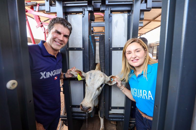  <div class='credito_fotos'>Foto: Bruno Cruz / Ag. Pará &nbsp;&nbsp;|&nbsp;&nbsp; <a href='/midias/2024/originais/20849_9bc788bd-5c37-445f-00d7-b29e7c63295a.jpg' download><i class='fa-solid fa-download'></i> Download</a></div>