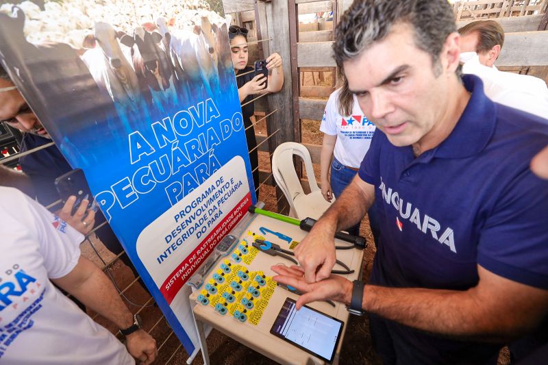  <div class='credito_fotos'>Foto: Bruno Cruz / Ag. Pará &nbsp;&nbsp;|&nbsp;&nbsp; <a href='/midias/2024/originais/20849_a3fc5f6c-b573-cdae-832c-9510c0227b2b.jpg' download><i class='fa-solid fa-download'></i> Download</a></div>