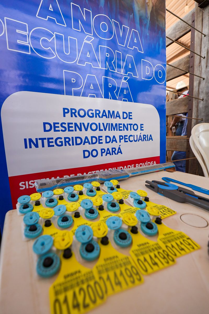  <div class='credito_fotos'>Foto: Bruno Cruz / Ag. Pará &nbsp;&nbsp;|&nbsp;&nbsp; <a href='/midias/2024/originais/20849_ae814a8b-0018-ab04-c653-b95b939ac638.jpg' download><i class='fa-solid fa-download'></i> Download</a></div>