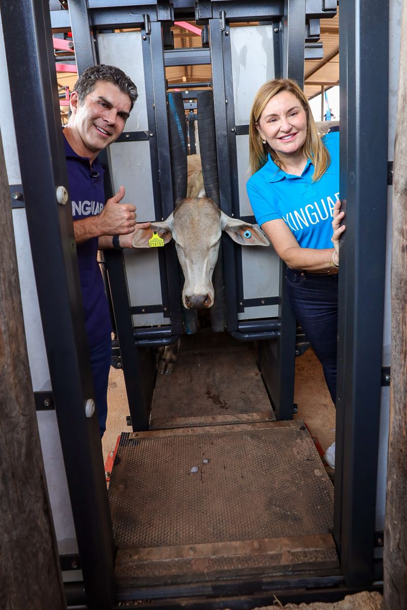  <div class='credito_fotos'>Foto: Bruno Cruz / Ag. Pará &nbsp;&nbsp;|&nbsp;&nbsp; <a href='/midias/2024/originais/20849_b81c6a1e-12c4-d9f0-a57e-5463951eaf8a.jpg' download><i class='fa-solid fa-download'></i> Download</a></div>