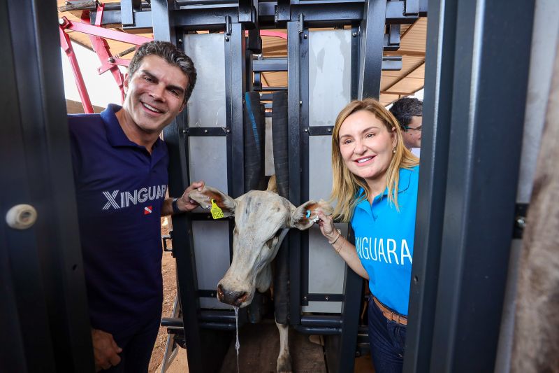  <div class='credito_fotos'>Foto: Bruno Cruz / Ag. Pará &nbsp;&nbsp;|&nbsp;&nbsp; <a href='/midias/2024/originais/20849_bafab88b-e050-74f6-bf47-fa6567dc1c0e.jpg' download><i class='fa-solid fa-download'></i> Download</a></div>