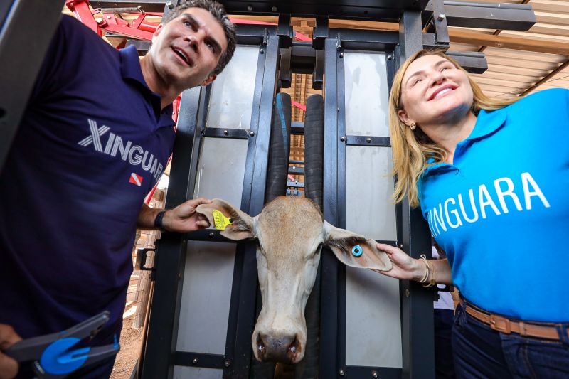  <div class='credito_fotos'>Foto: Bruno Cruz / Ag. Pará &nbsp;&nbsp;|&nbsp;&nbsp; <a href='/midias/2024/originais/20849_bcc8aaf2-555d-5f9b-fe16-ca86d72d76f0.jpg' download><i class='fa-solid fa-download'></i> Download</a></div>