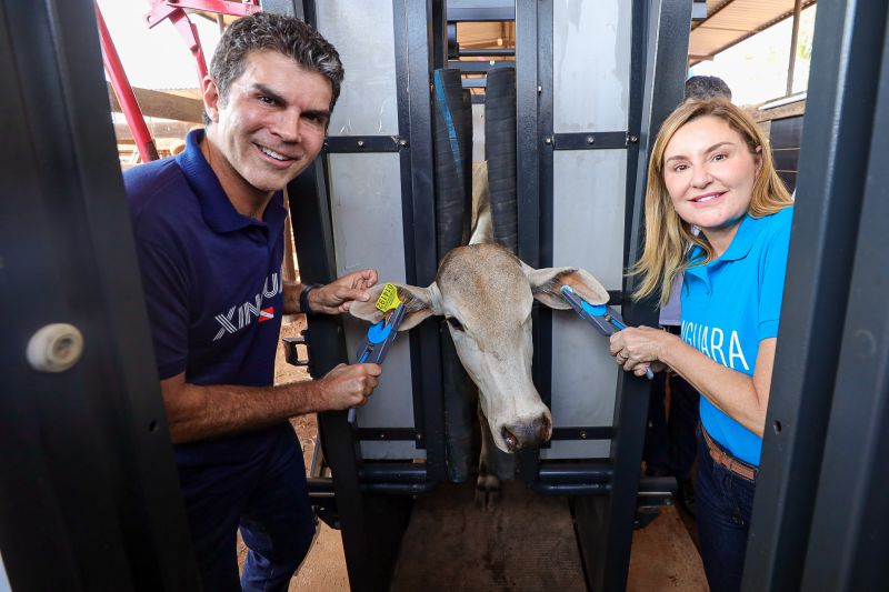  <div class='credito_fotos'>Foto: Bruno Cruz / Ag. Pará &nbsp;&nbsp;|&nbsp;&nbsp; <a href='/midias/2024/originais/20849_c5417475-b55e-d680-d97c-0622f116341c.jpg' download><i class='fa-solid fa-download'></i> Download</a></div>