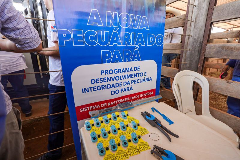  <div class='credito_fotos'>Foto: Bruno Cruz / Ag. Pará &nbsp;&nbsp;|&nbsp;&nbsp; <a href='/midias/2024/originais/20849_d1226a4d-ff9c-6a57-4c42-60f756d39480.jpg' download><i class='fa-solid fa-download'></i> Download</a></div>