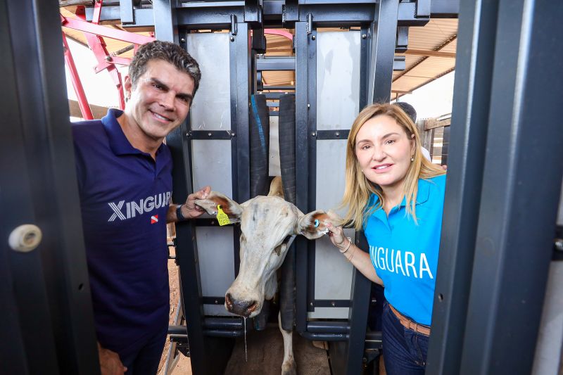  <div class='credito_fotos'>Foto: Bruno Cruz / Ag. Pará &nbsp;&nbsp;|&nbsp;&nbsp; <a href='/midias/2024/originais/20849_eb3853f8-c285-0d45-2ddd-7b774f017c62.jpg' download><i class='fa-solid fa-download'></i> Download</a></div>