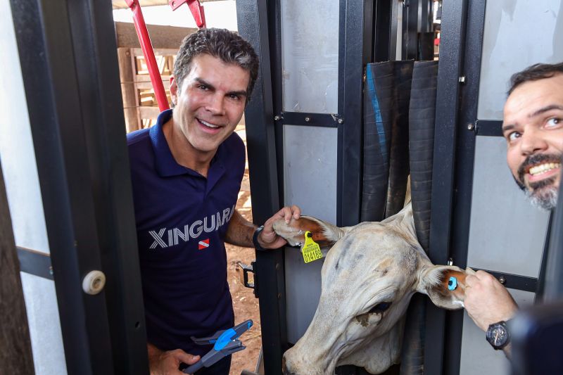  <div class='credito_fotos'>Foto: Bruno Cruz / Ag. Pará &nbsp;&nbsp;|&nbsp;&nbsp; <a href='/midias/2024/originais/20849_ef803a33-3ceb-c19f-6180-93789d811b4f.jpg' download><i class='fa-solid fa-download'></i> Download</a></div>