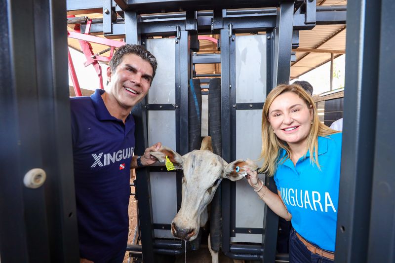  <div class='credito_fotos'>Foto: Bruno Cruz / Ag. Pará &nbsp;&nbsp;|&nbsp;&nbsp; <a href='/midias/2024/originais/20849_f6d28ca0-d451-c3d0-8f17-0826c6339857.jpg' download><i class='fa-solid fa-download'></i> Download</a></div>