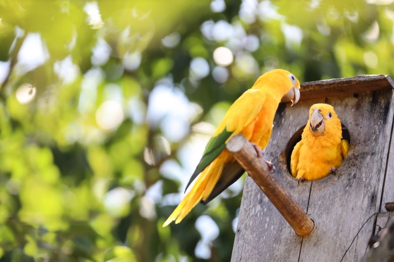  <div class='credito_fotos'>Foto: Bruno Cecim / Ag.Pará &nbsp;&nbsp;|&nbsp;&nbsp; <a href='/midias/2024/originais/20898_0854d802-8e3f-22c5-edee-a552e7e79fff.jpg' download><i class='fa-solid fa-download'></i> Download</a></div>