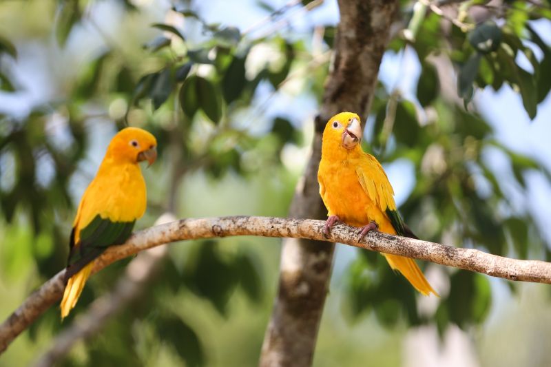  <div class='credito_fotos'>Foto: Bruno Cecim / Ag.Pará &nbsp;&nbsp;|&nbsp;&nbsp; <a href='/midias/2024/originais/20898_0d62924c-2fd9-c550-dc79-58a2964713db.jpg' download><i class='fa-solid fa-download'></i> Download</a></div>