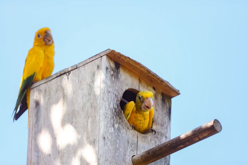  <div class='credito_fotos'>Foto: Bruno Cecim / Ag.Pará &nbsp;&nbsp;|&nbsp;&nbsp; <a href='/midias/2024/originais/20898_10694dd3-c6cb-a293-24bd-1f85f3e65a3a.jpg' download><i class='fa-solid fa-download'></i> Download</a></div>