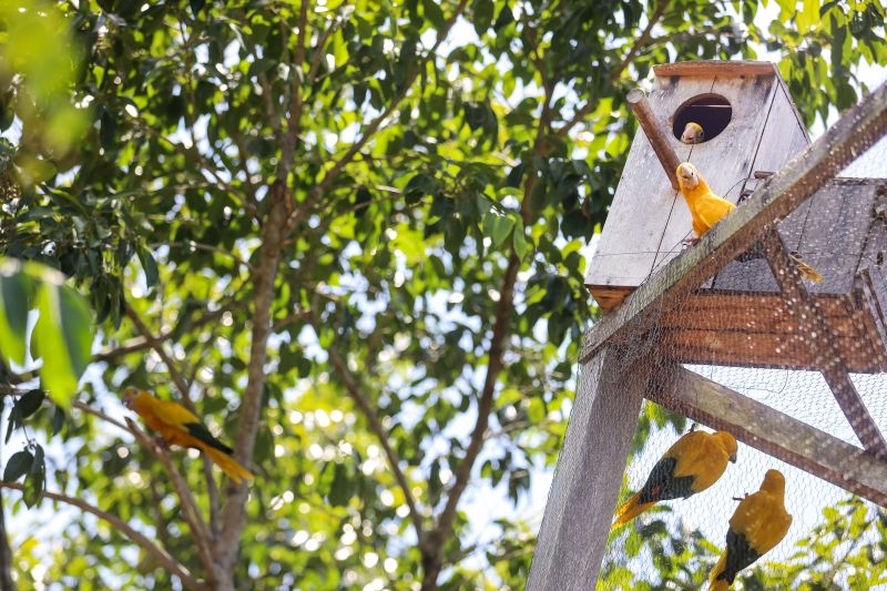  <div class='credito_fotos'>Foto: Bruno Cecim / Ag.Pará &nbsp;&nbsp;|&nbsp;&nbsp; <a href='/midias/2024/originais/20898_11f1a8db-04dd-0175-d4b9-4f7e48191986.jpg' download><i class='fa-solid fa-download'></i> Download</a></div>