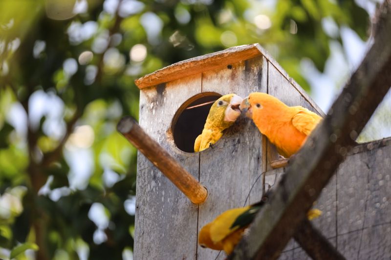  <div class='credito_fotos'>Foto: Bruno Cecim / Ag.Pará &nbsp;&nbsp;|&nbsp;&nbsp; <a href='/midias/2024/originais/20898_1cebb654-26d9-b54d-1ba9-d67df195b0e7.jpg' download><i class='fa-solid fa-download'></i> Download</a></div>