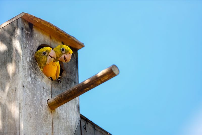  <div class='credito_fotos'>Foto: Bruno Cecim / Ag.Pará &nbsp;&nbsp;|&nbsp;&nbsp; <a href='/midias/2024/originais/20898_2656d739-b49b-2bbe-ed05-379c9f4ade2f.jpg' download><i class='fa-solid fa-download'></i> Download</a></div>