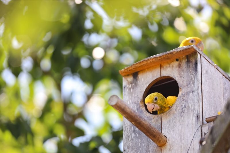  <div class='credito_fotos'>Foto: Bruno Cecim / Ag.Pará &nbsp;&nbsp;|&nbsp;&nbsp; <a href='/midias/2024/originais/20898_2d25e569-06fd-6665-a880-bab7d1b5d3d6.jpg' download><i class='fa-solid fa-download'></i> Download</a></div>