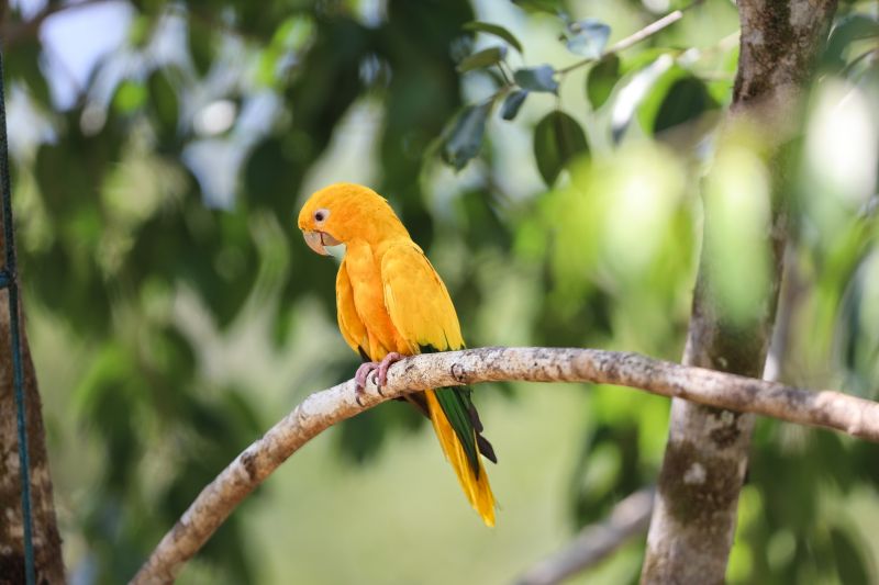  <div class='credito_fotos'>Foto: Bruno Cecim / Ag.Pará &nbsp;&nbsp;|&nbsp;&nbsp; <a href='/midias/2024/originais/20898_3981da05-55f6-924e-e90d-aaafe968e9c3.jpg' download><i class='fa-solid fa-download'></i> Download</a></div>