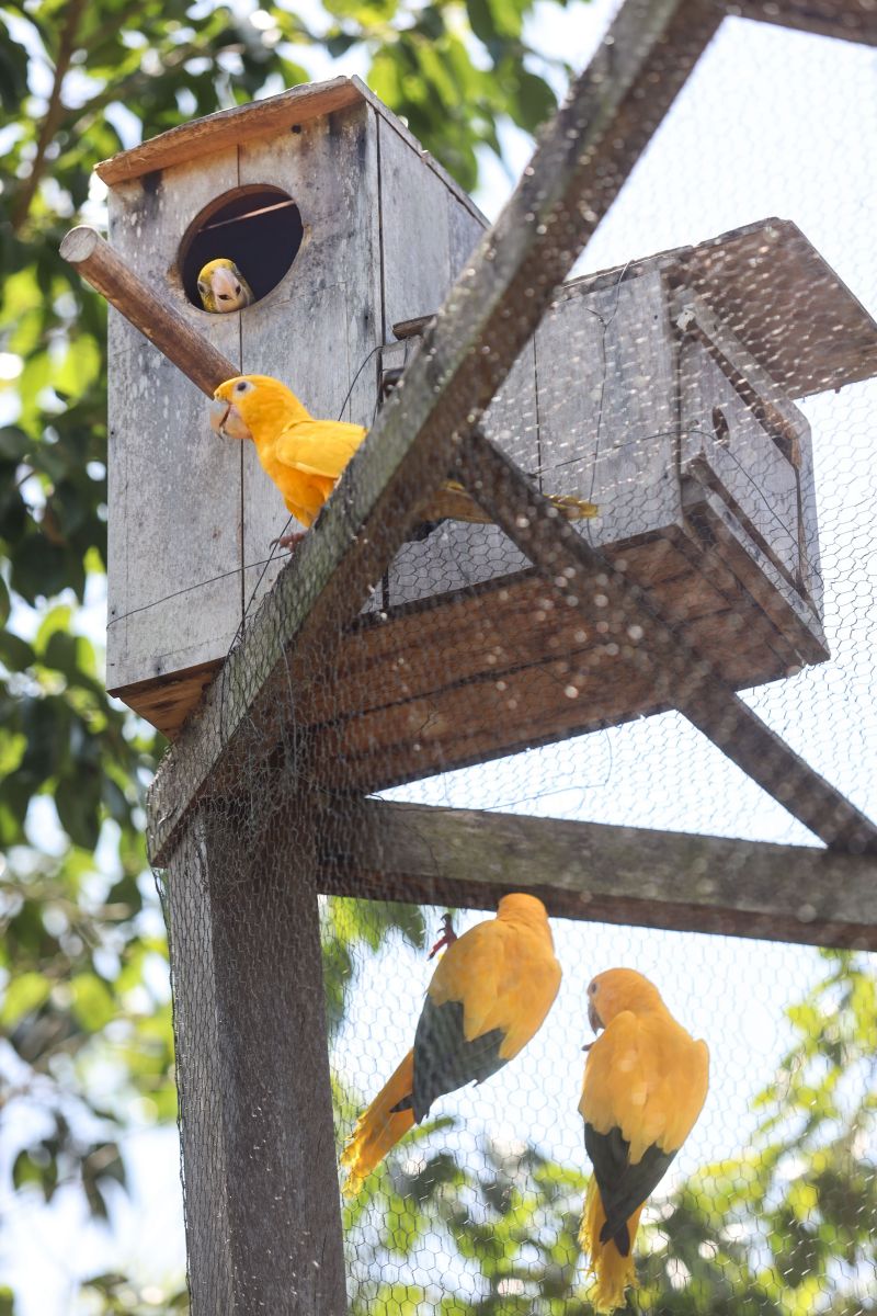  <div class='credito_fotos'>Foto: Bruno Cecim / Ag.Pará &nbsp;&nbsp;|&nbsp;&nbsp; <a href='/midias/2024/originais/20898_3e083232-7c5b-26f2-fc4b-5e38a1a24acc.jpg' download><i class='fa-solid fa-download'></i> Download</a></div>