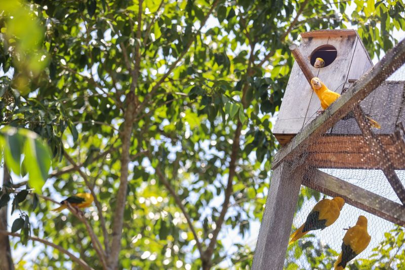  <div class='credito_fotos'>Foto: Bruno Cecim / Ag.Pará &nbsp;&nbsp;|&nbsp;&nbsp; <a href='/midias/2024/originais/20898_3fe2dbbc-e660-8f0d-cb15-4f4f3af12d03.jpg' download><i class='fa-solid fa-download'></i> Download</a></div>