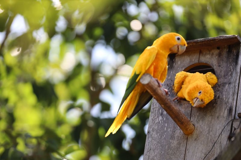  <div class='credito_fotos'>Foto: Bruno Cecim / Ag.Pará &nbsp;&nbsp;|&nbsp;&nbsp; <a href='/midias/2024/originais/20898_40cce614-70dd-4a7a-bb6d-92a03f24e624.jpg' download><i class='fa-solid fa-download'></i> Download</a></div>