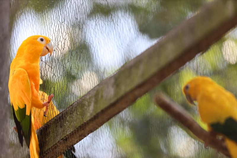  <div class='credito_fotos'>Foto: Bruno Cecim / Ag.Pará &nbsp;&nbsp;|&nbsp;&nbsp; <a href='/midias/2024/originais/20898_443690b4-27c5-d083-ff48-e3eb3e1bd902.jpg' download><i class='fa-solid fa-download'></i> Download</a></div>