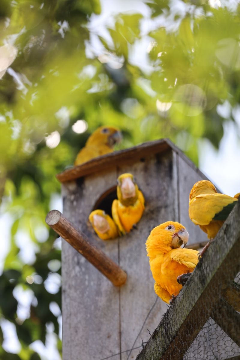  <div class='credito_fotos'>Foto: Bruno Cecim / Ag.Pará &nbsp;&nbsp;|&nbsp;&nbsp; <a href='/midias/2024/originais/20898_57d243a4-8e8b-9154-6efa-d36ea062d1ab.jpg' download><i class='fa-solid fa-download'></i> Download</a></div>