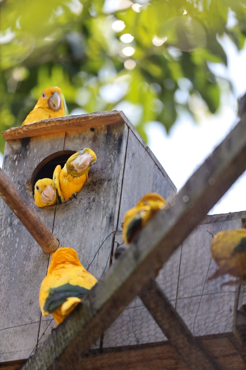  <div class='credito_fotos'>Foto: Bruno Cecim / Ag.Pará &nbsp;&nbsp;|&nbsp;&nbsp; <a href='/midias/2024/originais/20898_5a9f483d-26a9-b44d-606c-cce992661480.jpg' download><i class='fa-solid fa-download'></i> Download</a></div>