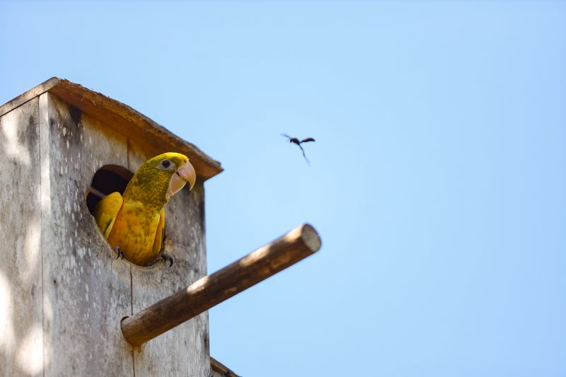  <div class='credito_fotos'>Foto: Bruno Cecim / Ag.Pará &nbsp;&nbsp;|&nbsp;&nbsp; <a href='/midias/2024/originais/20898_5e0d7994-88ea-1f80-b8f4-98ce0091380f.jpg' download><i class='fa-solid fa-download'></i> Download</a></div>